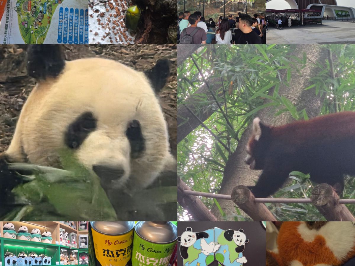 2025: just a&nbsp;reflection